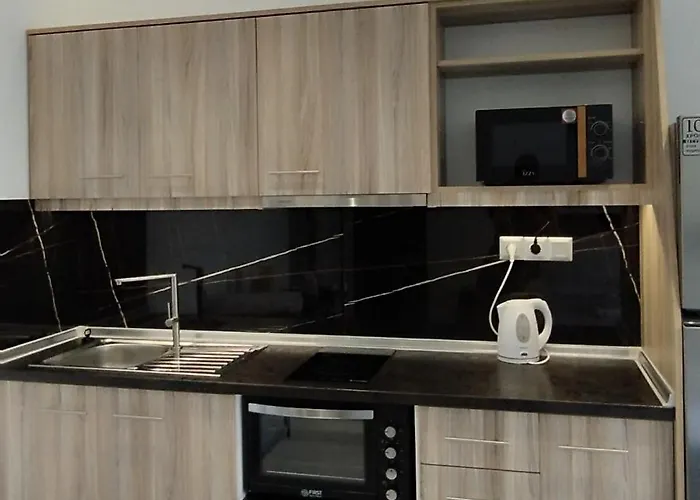 アパートホテル Lainis